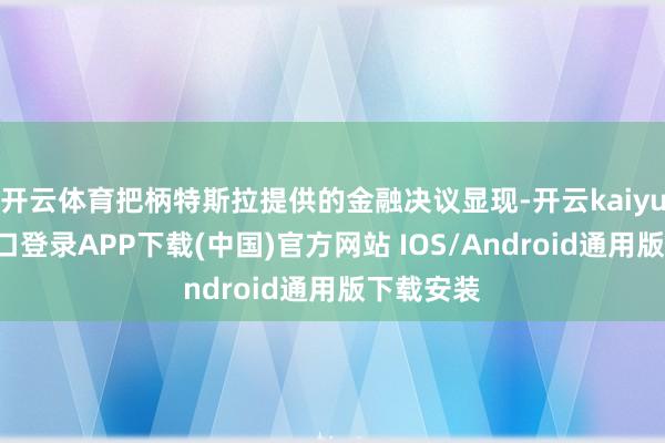 开云体育把柄特斯拉提供的金融决议显现-开云kaiyun登录入口登录APP下载(中国)官方网站 IOS/Android通用版下载安装