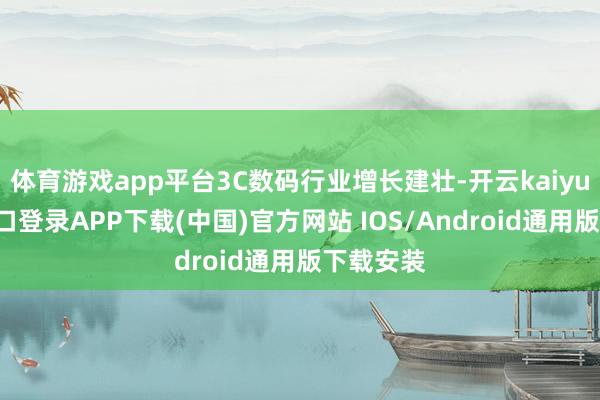 体育游戏app平台3C数码行业增长建壮-开云kaiyun登录入口登录APP下载(中国)官方网站 IOS/Android通用版下载安装