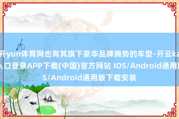 开yun体育网也有其旗下豪华品牌腾势的车型-开云kaiyun登录入口登录APP下载(中国)官方网站 IOS/Android通用版下载安装